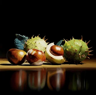 Conkers